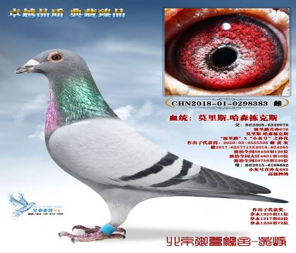 Ī��˹.��ɭ����˹-8383