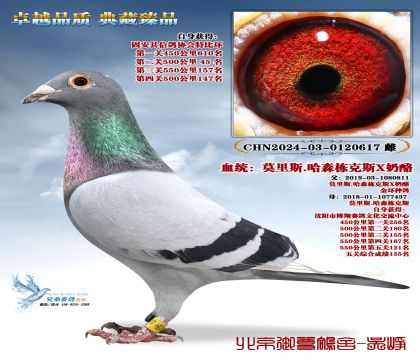 Ī��˹.��ɭ����˹X����-617