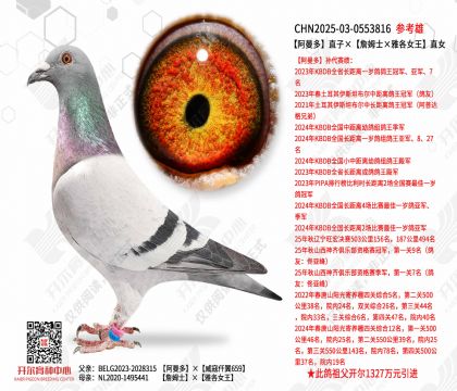 ������ֱ�ӡ���ղķʿ���Ÿ�Ů����ֱŮ