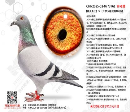 ������ʿ�������������160��