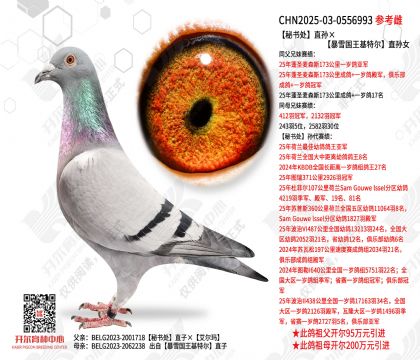 ���鴦ֱ�����ѩ�������ض�ֱ��Ů