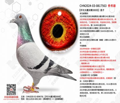 �����������300��ֱ��