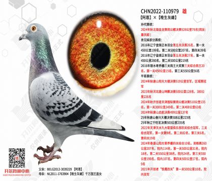 �����������Ҵ�