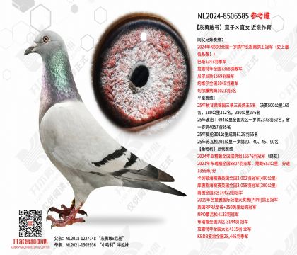 ���¸Һ�ֱ�ӡ�ֱŮ ��������