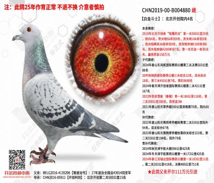 �׽�ʿ����������Ժ��4��