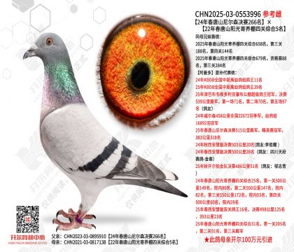 24����ɽ���ɭ����266����22����ɽ�����Ĺ��ۺ�5��