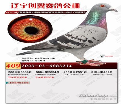 ���ʼһ�x���ա�ֱ�ӡ���˹��ֱŮ