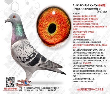 24�괺����������751��������ֱŮ