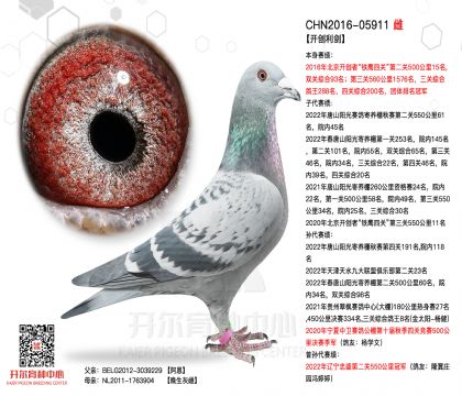 3ĸ��CHN2016-05911