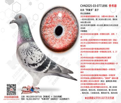 ���ԡ������ࡱֱ��