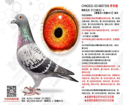 ��ŷ�߿�ǧ������������׿ˡ�����ľ����ֱŮ