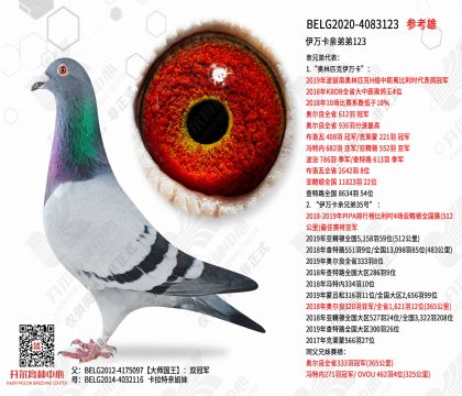 �����׵ܵ�123