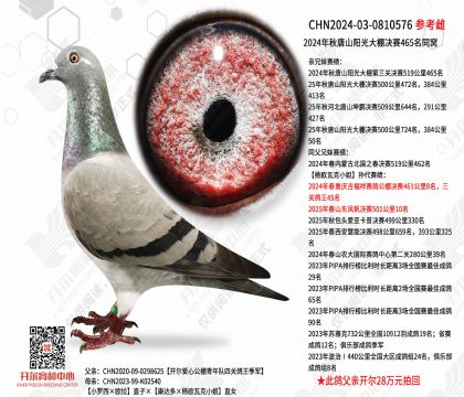 2024������ɽ����������465��ͬ��