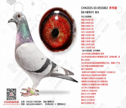 �Ͽ����ض�ֱŮ