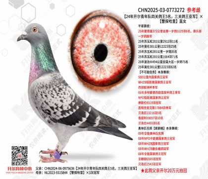 24�꿪��������Ĺظ���5�������ظ����Ǿ�����̽����ֱŮ