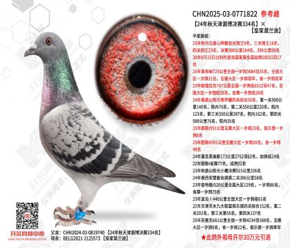 24�������Դ������334�����ʼ�Ī����