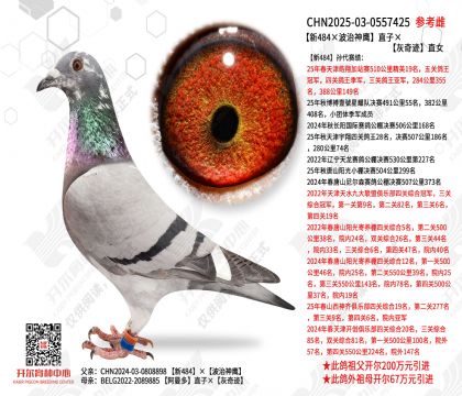 ����484��������ӥ��ֱ�ӡ����漣ֱŮ