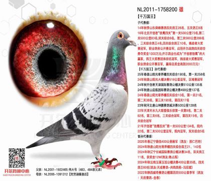 2����-1758200