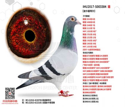 2����17-S003384