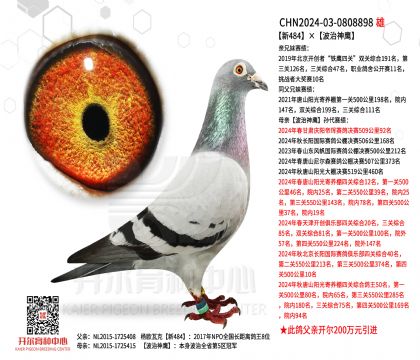 2����24-0808898