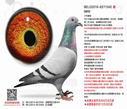 2����6271042