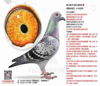 3ĸ��NL2023-9315844