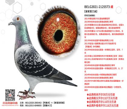 3ĸ��BELG2021-2125573