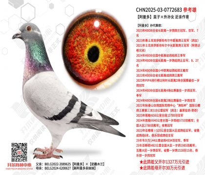 ������ֱ�ӡ�����Ů ��������