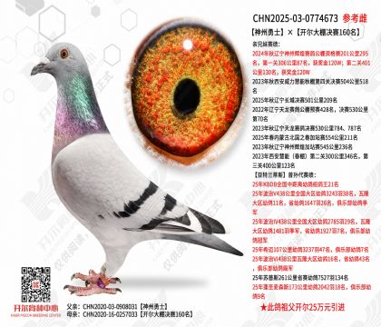 ������ʿ�������������160��