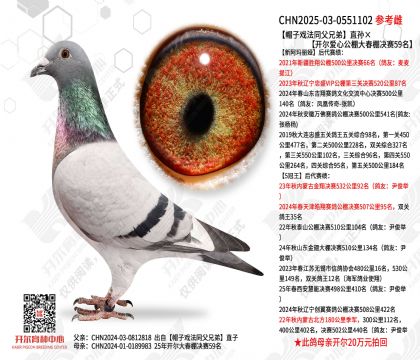 ñ��Ϸ��ͬ���ֵ�ֱ����������Ĺ���������59��