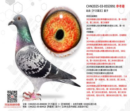 ����ǧ�����ֱ��