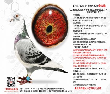 22����ɽ�����Ĺ��ۺ�320����ħ����ʯֱŮ