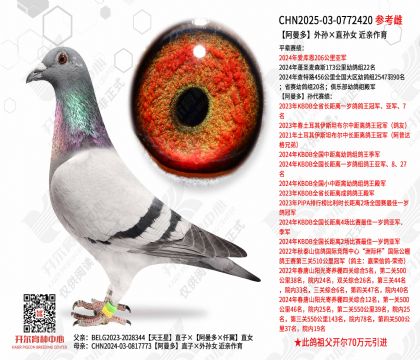 �����������ֱ��Ů ��������