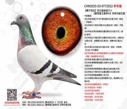 ñ��Ϸ��ͬ������ֱ�ӡ���ѩ�������ض�ͬĸ���û���