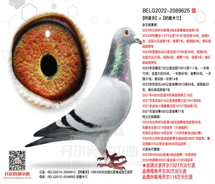 2����BELG2022-2089625