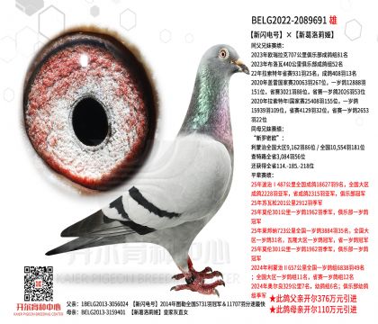 2����BELG2022-2089691