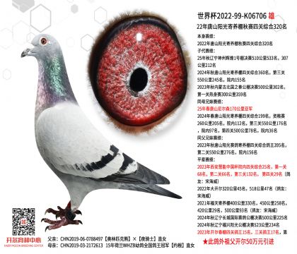 2����CHN2022-99-K06706