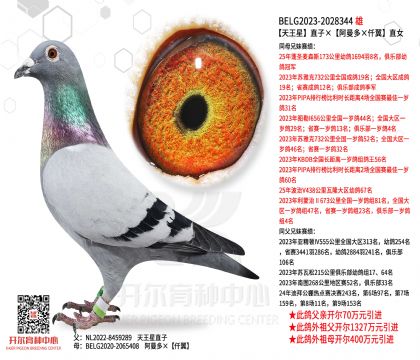 2����23-2028344