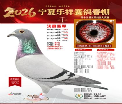 ������������Ǿ�