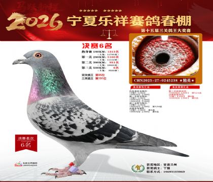 �����������6��