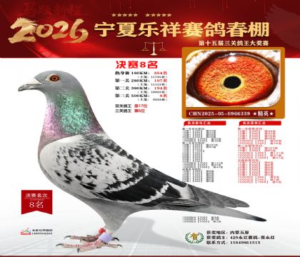 �����������8��