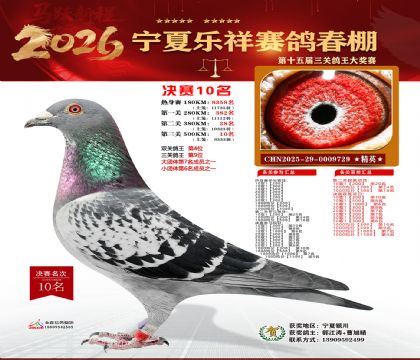 �����������10��