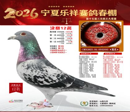 �����������12��