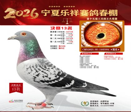 �����������13��