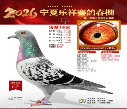 �����������16��