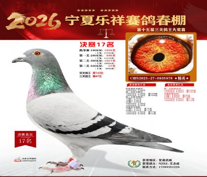 �����������17��