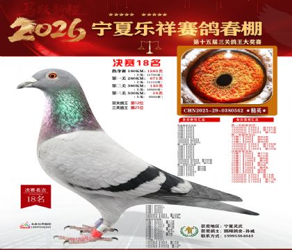 �����������18��