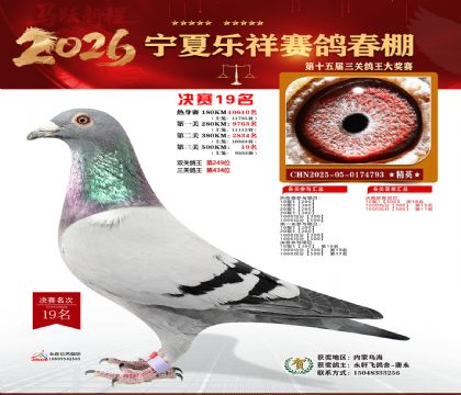 �����������19��