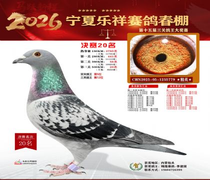 �����������20��