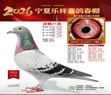 �����������21��